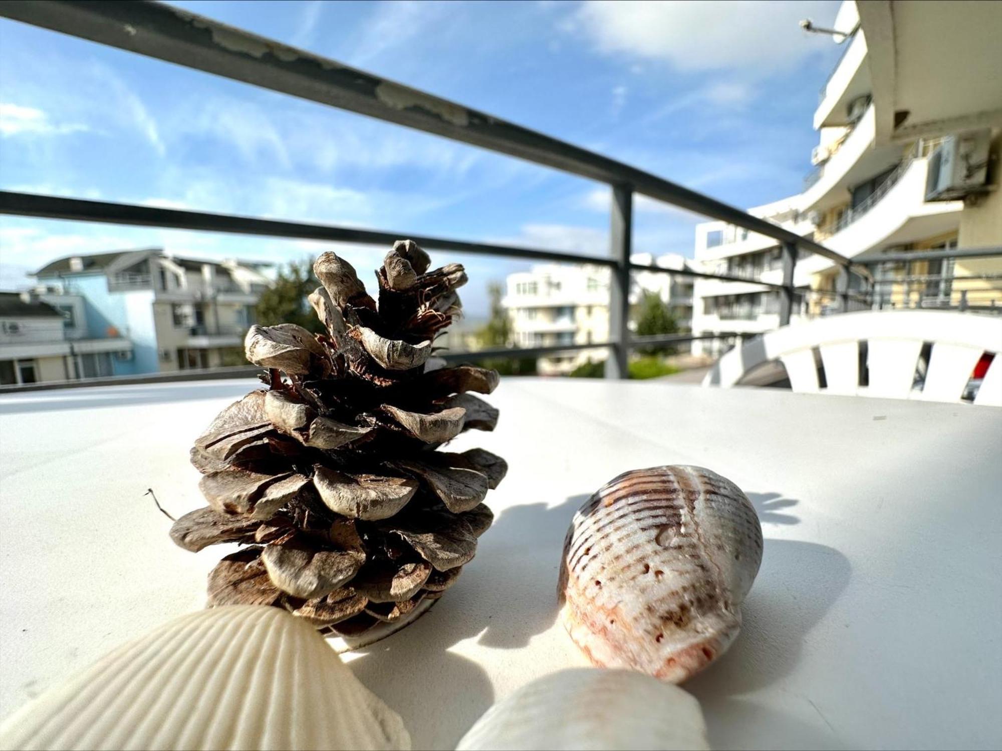 Menada Sunset Kosharitsa Apartments المظهر الخارجي الصورة